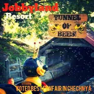 Aviary Photo_130735152480944411